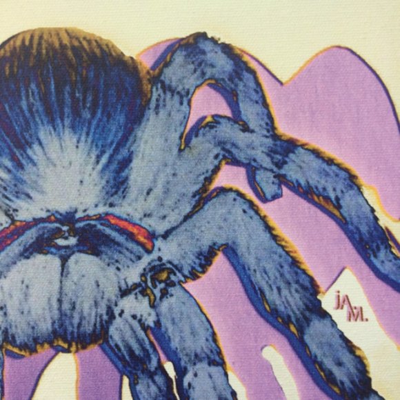 Tarantula - Original Wall Art print on 12 x 12 canvas - Picture 4 of 6